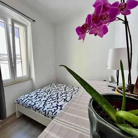Apartman Juric *